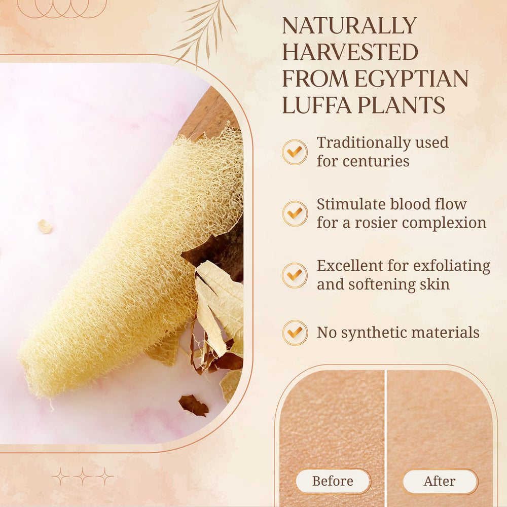 
                  
                    100% Egyptian Loofah Sponge Sets - Papa Bear Care
                  
                